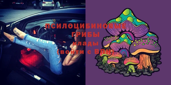дживик Осинники