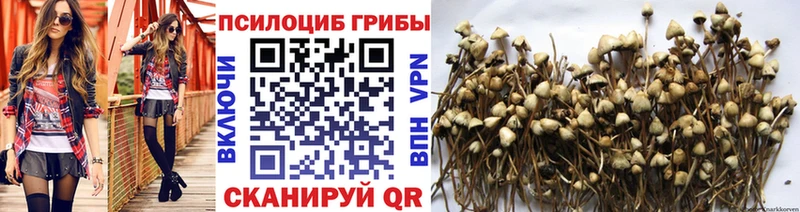 Псилоцибиновые грибы мухоморы  Сухиничи 